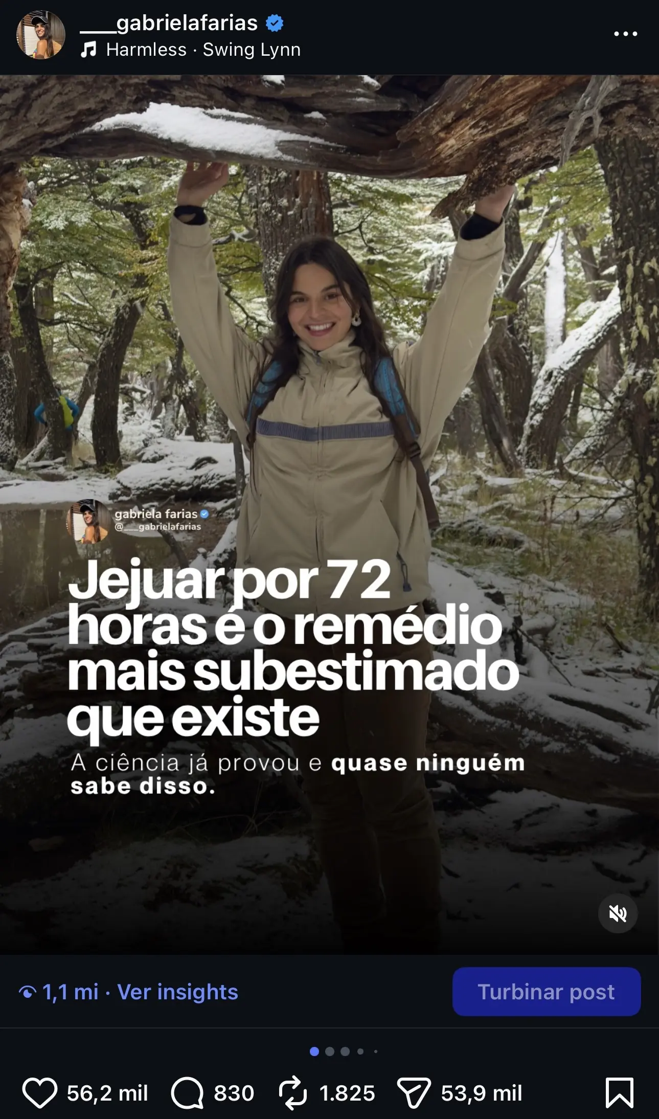 conteúdo
